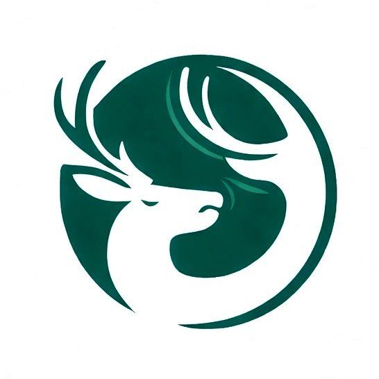 Social Media Admin Content Creator